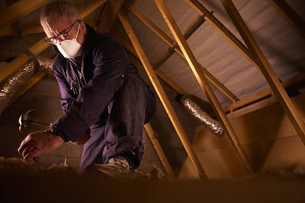 Best Types of Insulation in Sparta, IL